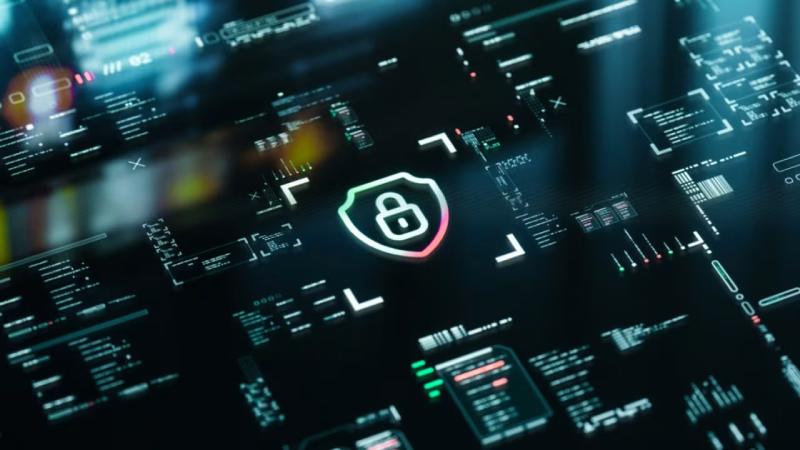 新浦区软件开发公司：提升客户业务参与度的 proven 策略